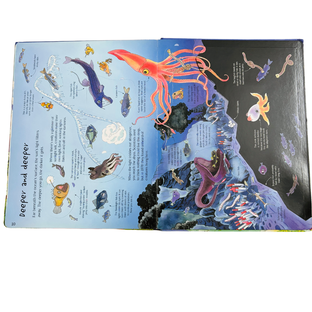 An Usborne Flap Book See Under the Sea