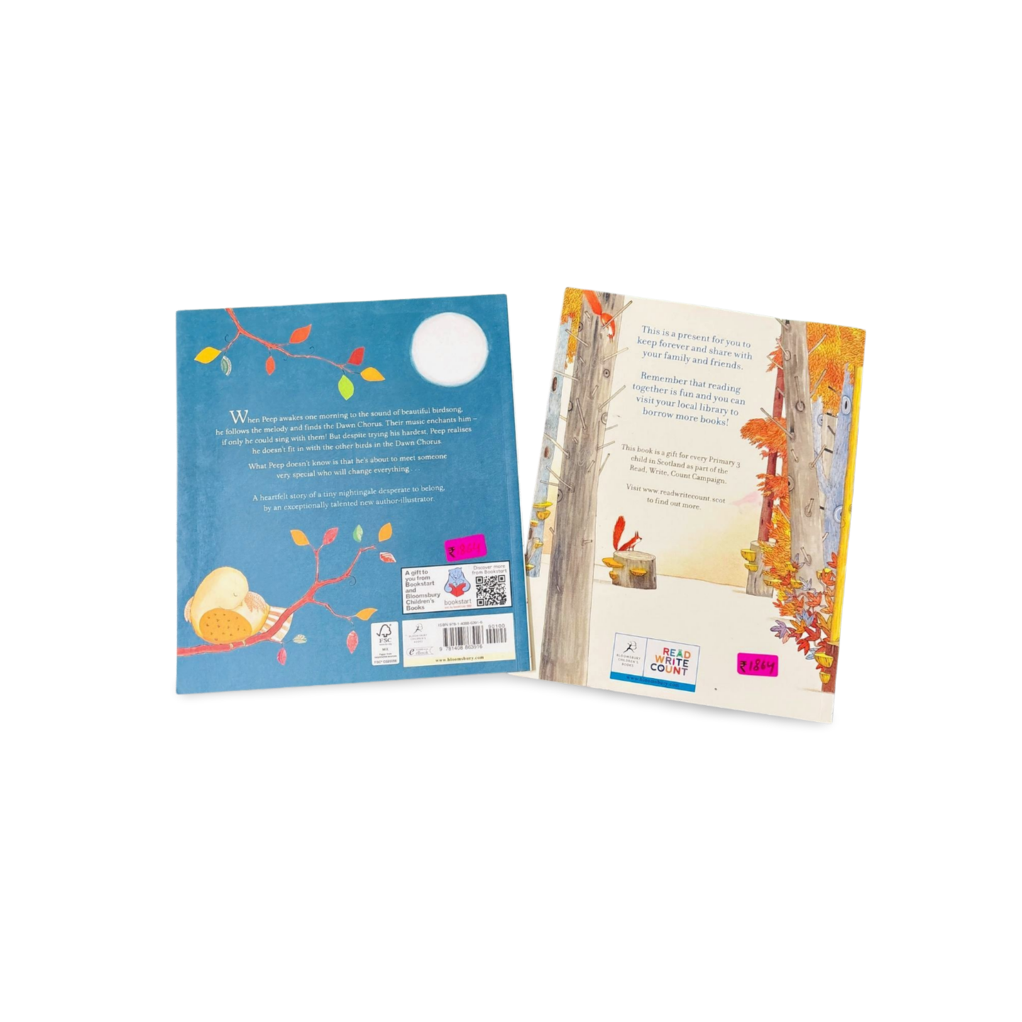 Combo Set Bloomsbury Books The Dawn Chorus and A Beginner’s Guide to Bear Spotting Picture Story books