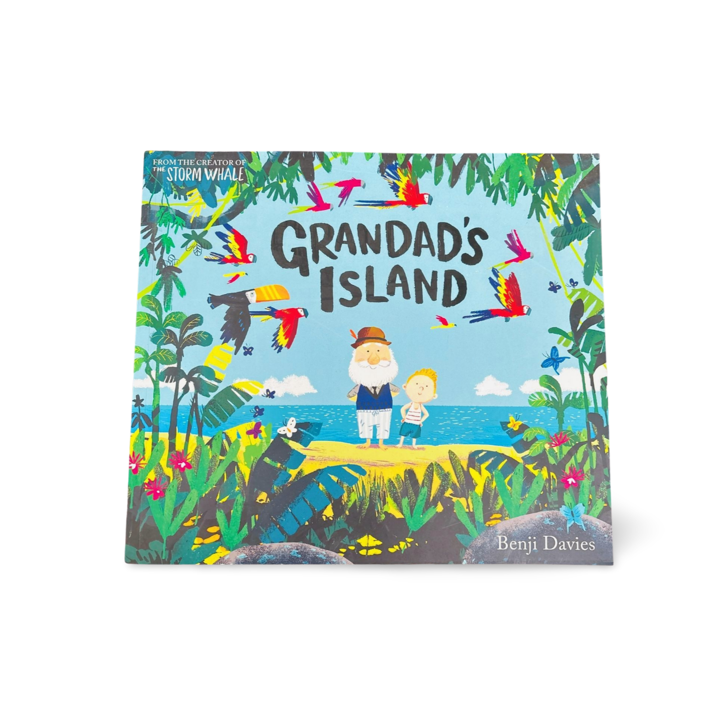 Granddad's Island by Benji Davies