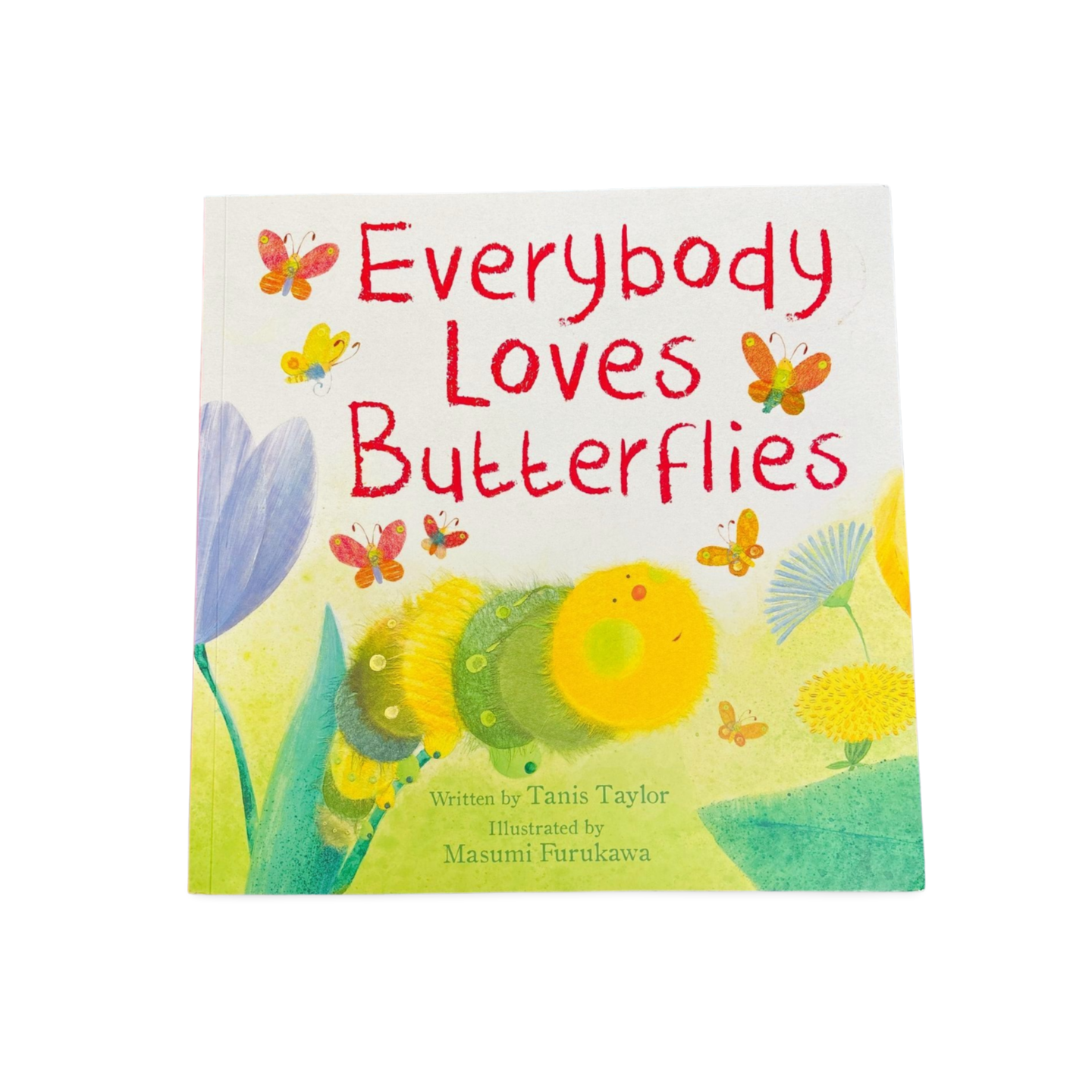 Everybody loves Butterflies