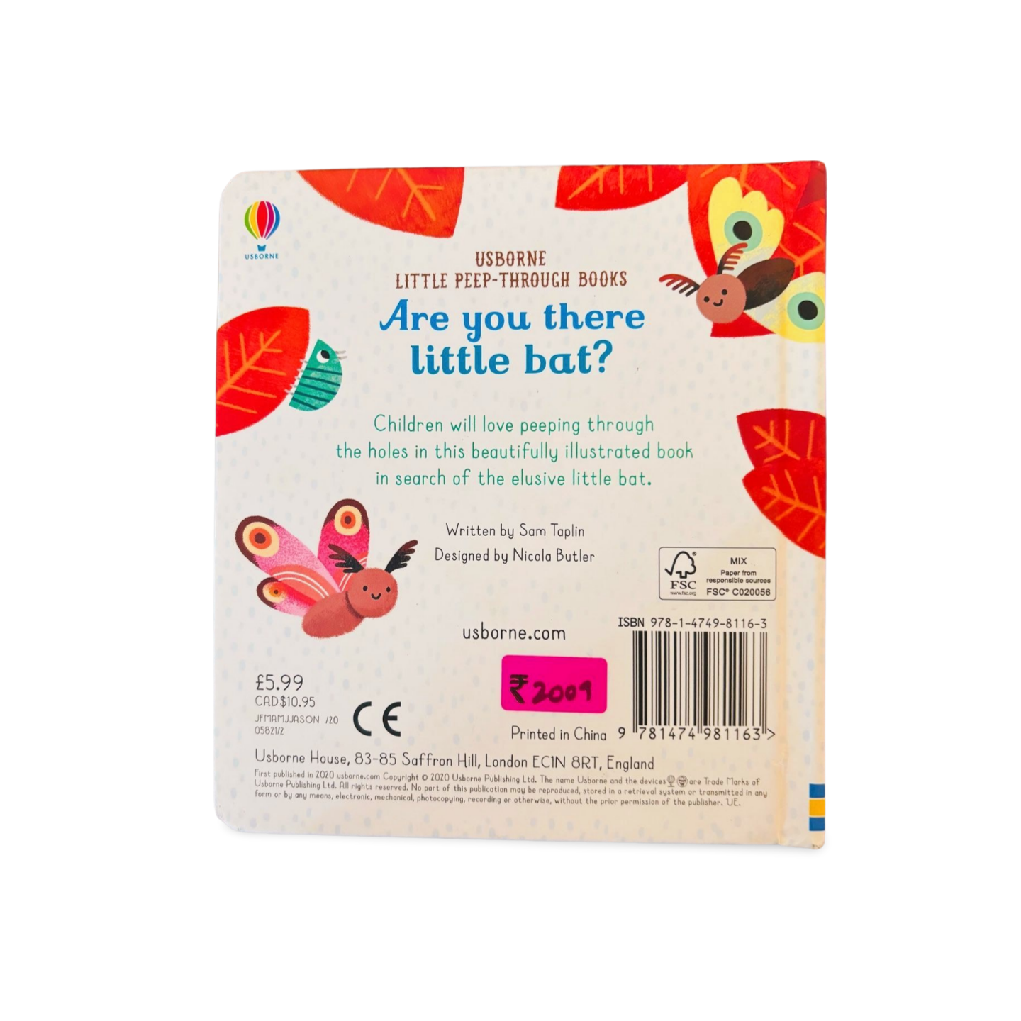 Are you there Little Bat? Usborne Little Peep through Books