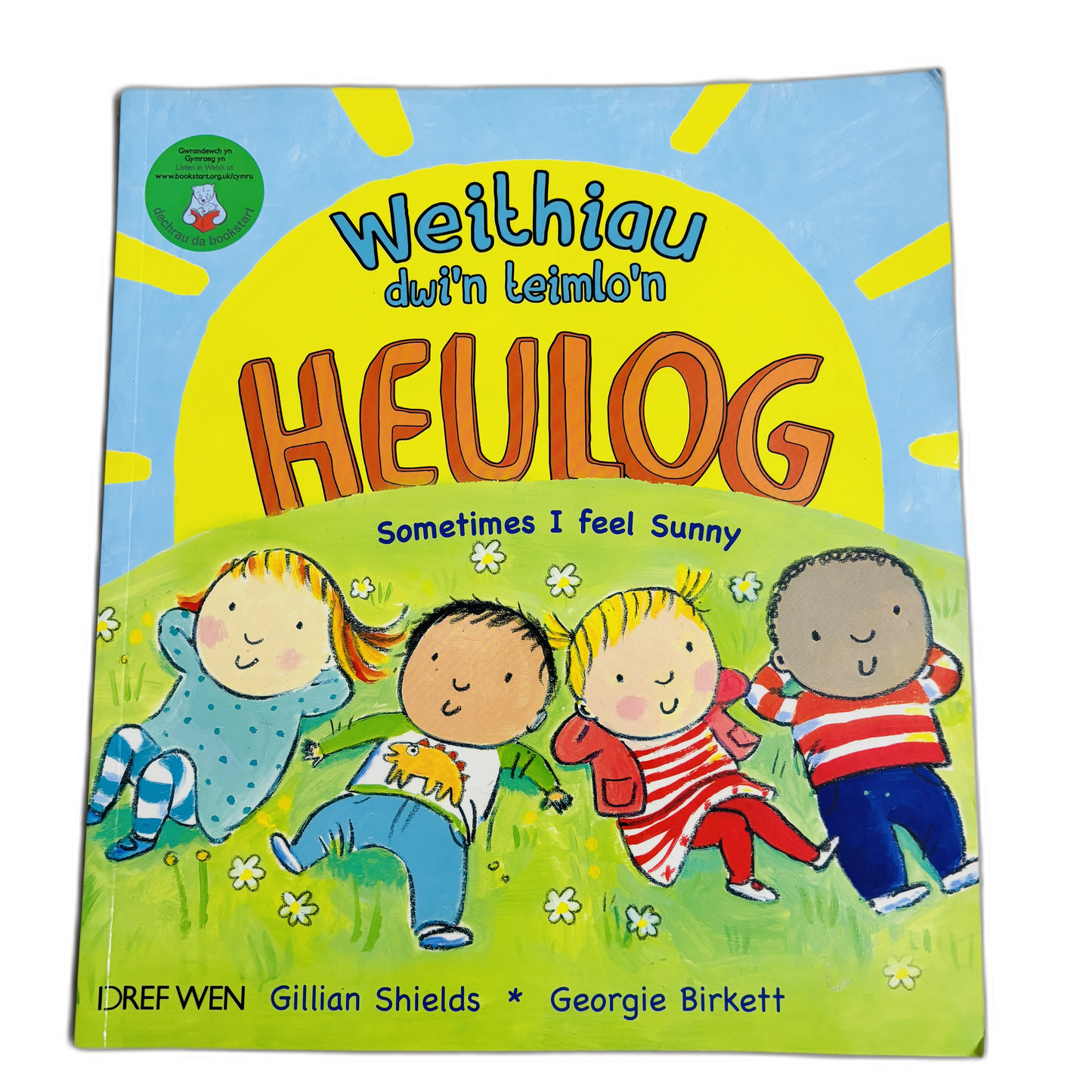 Weithiau dwi'n teimlo'n HEULOG Bilingual (Welsh/English)