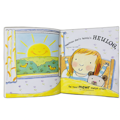 Weithiau dwi'n teimlo'n HEULOG Bilingual (Welsh/English)