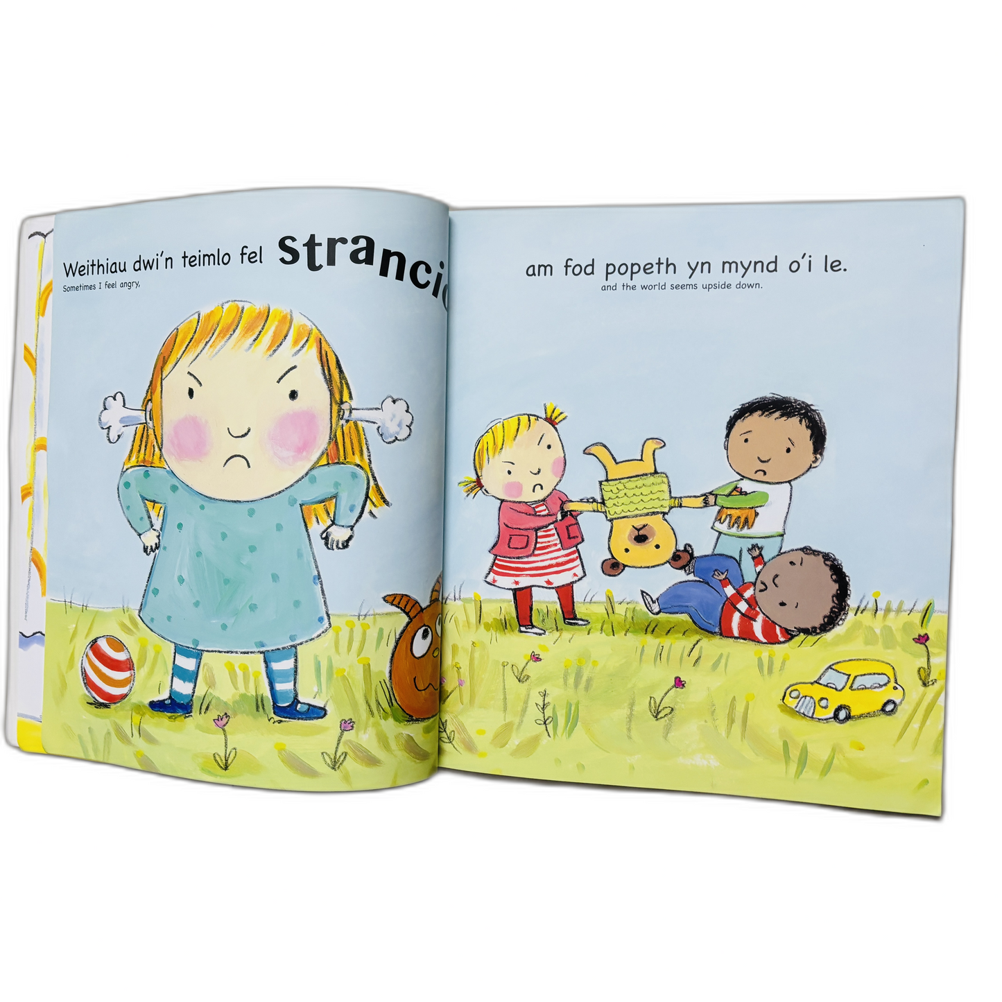 Weithiau dwi'n teimlo'n HEULOG Bilingual (Welsh/English)