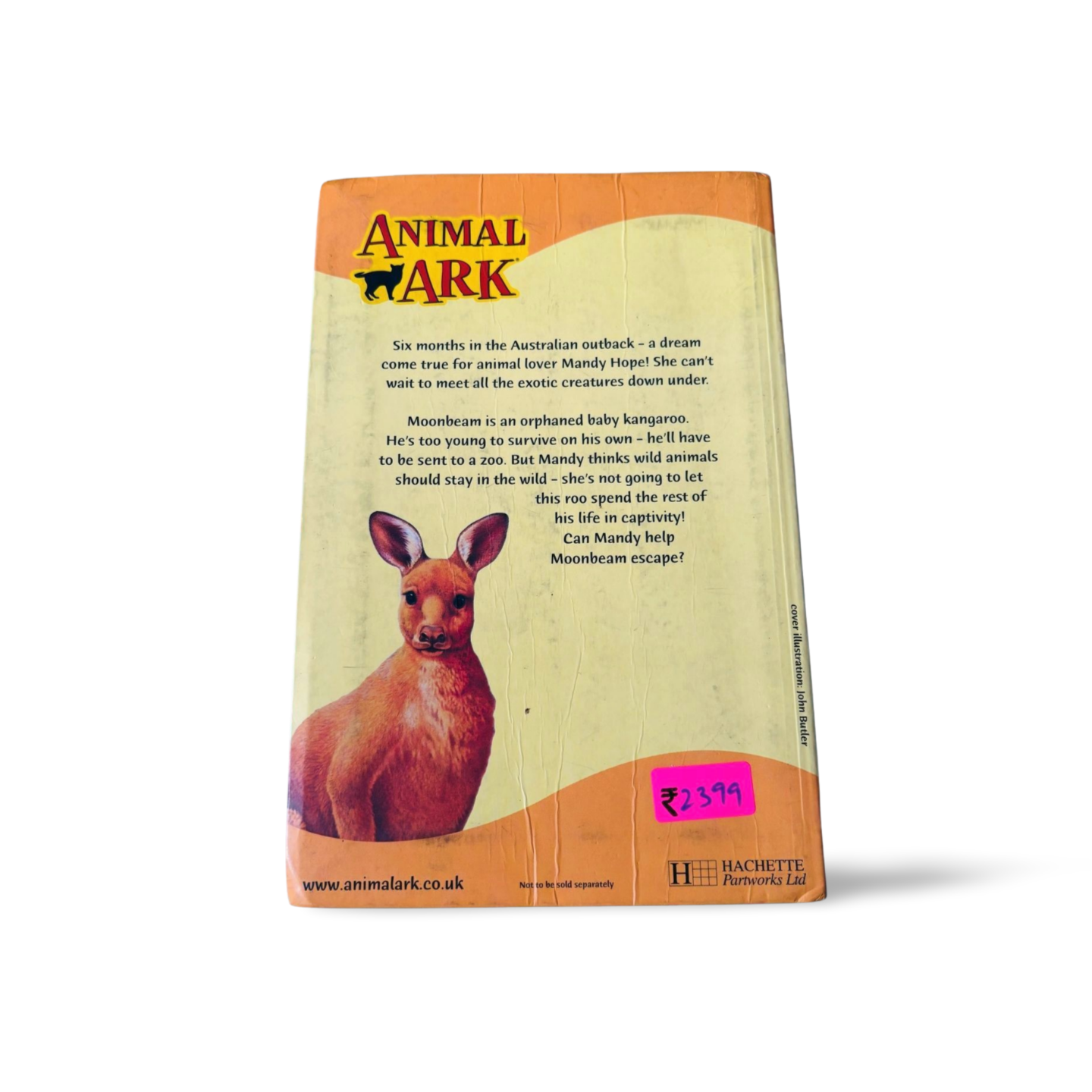 Animal Ark Room on the Rock by Lucy Daniels