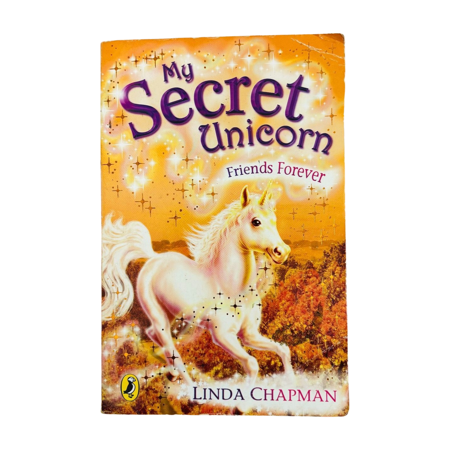 My Secret Unicorn: Friends Forever by Linda Chapman