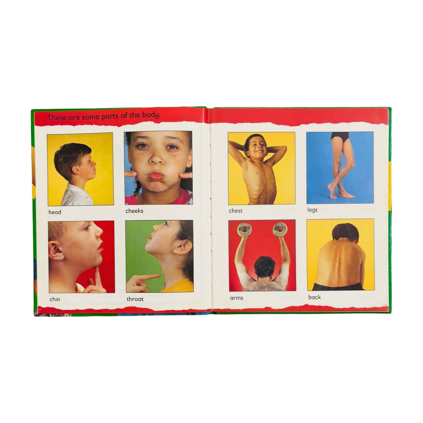 Ourselves in words and Pictures