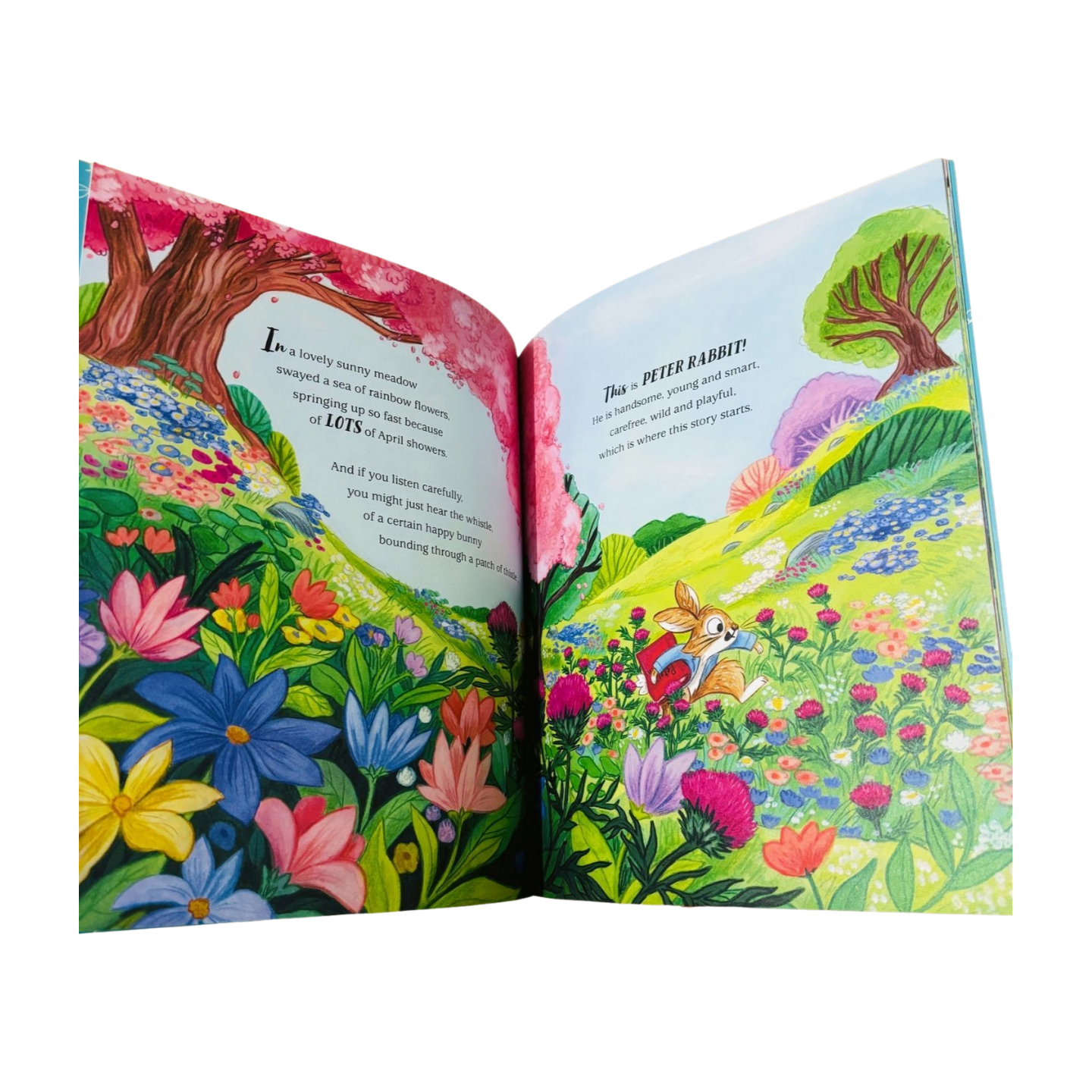 Peter Rabbit Up and Away by Rachel Bright
