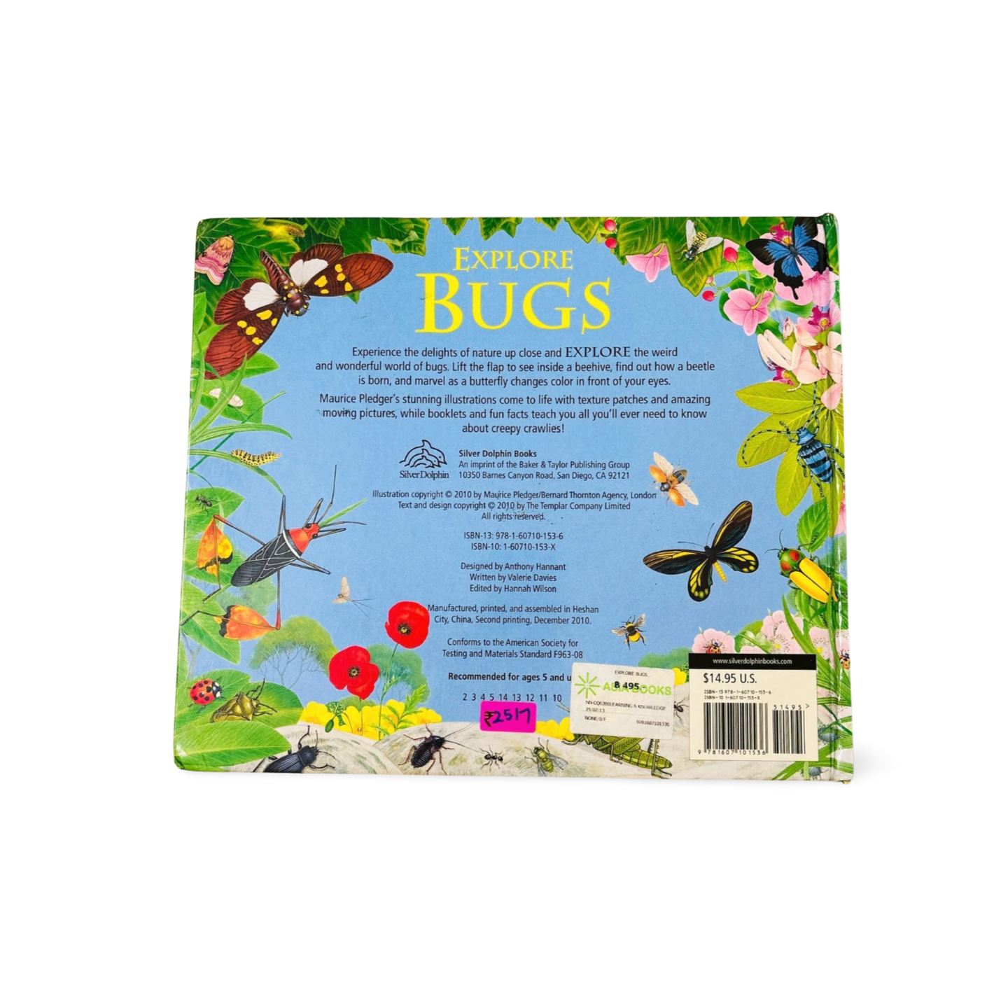 Explore Bugs Maurice Pledger