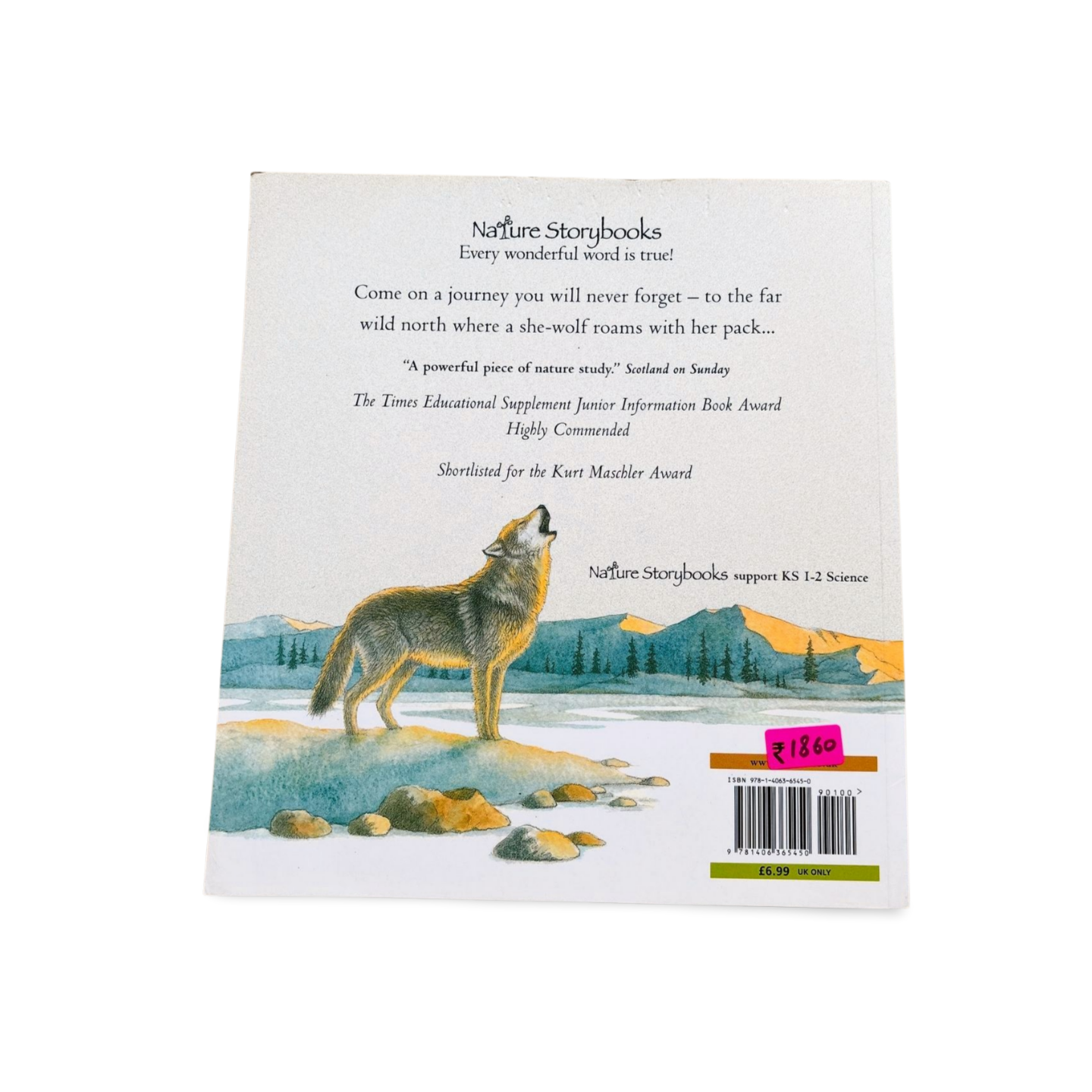 Walk with a Wolf Walker Books