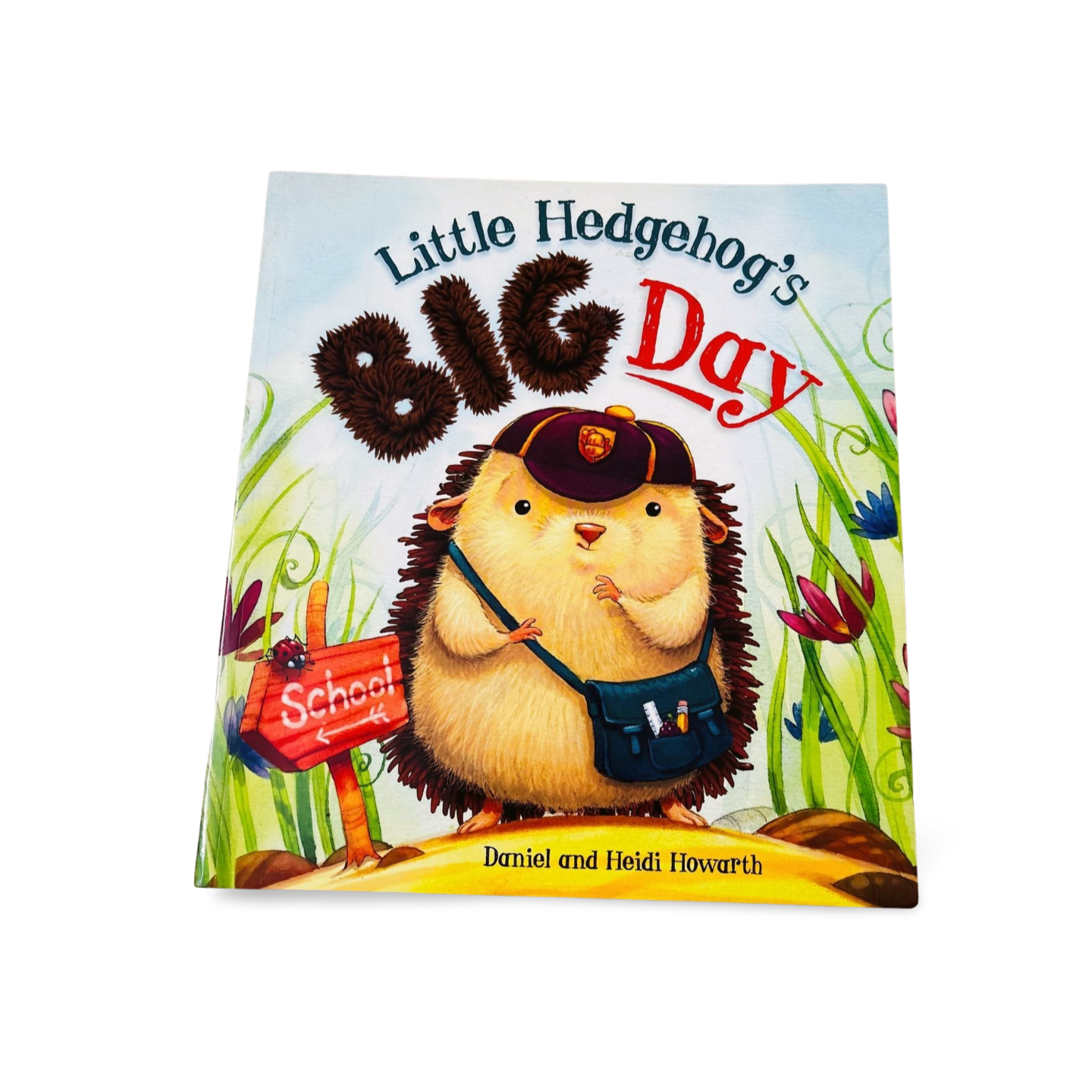 Little hedgehog's Big Day