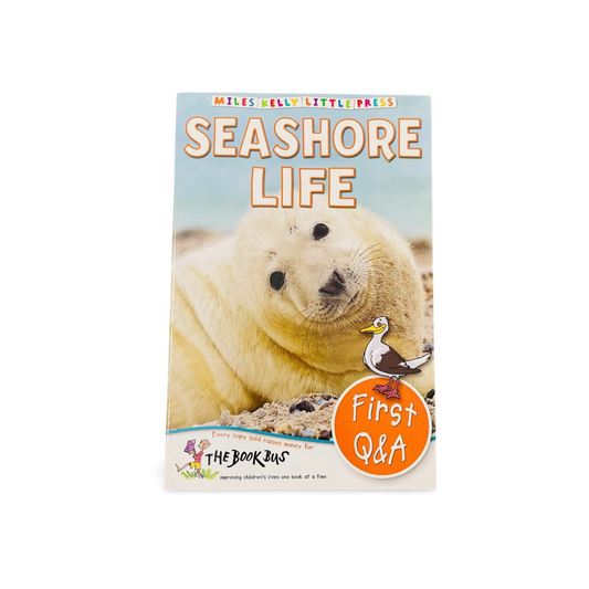 Miles Kelly_Seashore Life_First Q&A