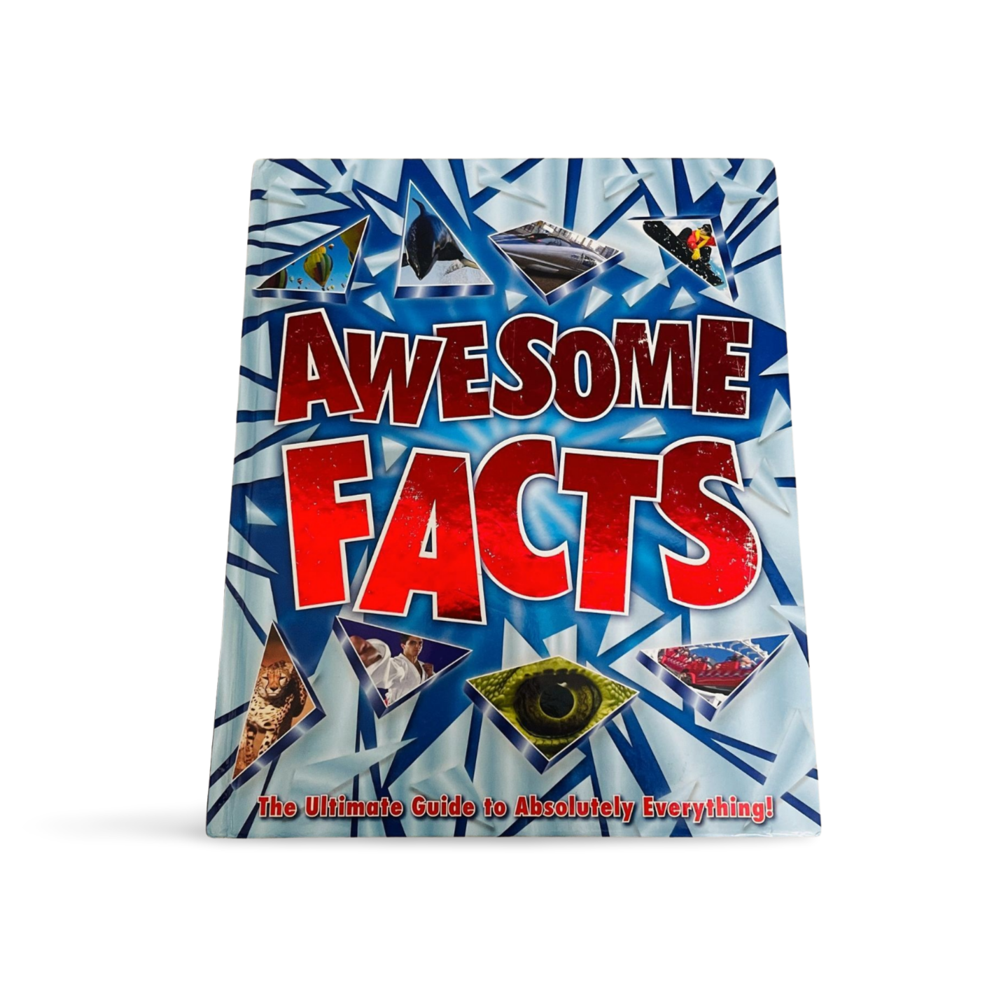 Igloo: Awesome Facts