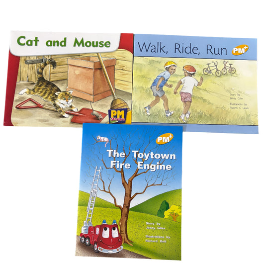 PM+ Phonics Set of 3 Books