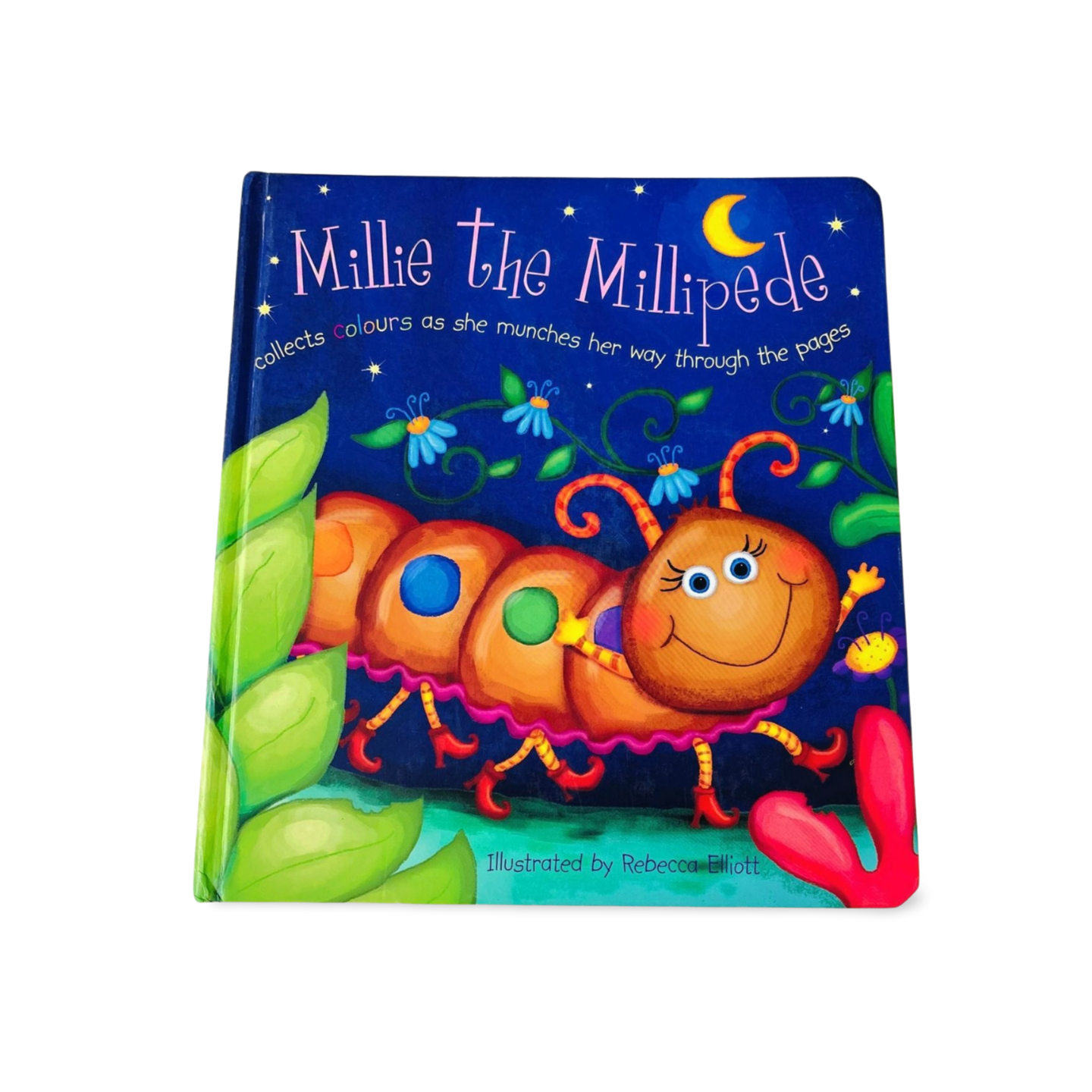 Millie_the_Millipede_Colourful_Ribbon_Interactive_book.v1