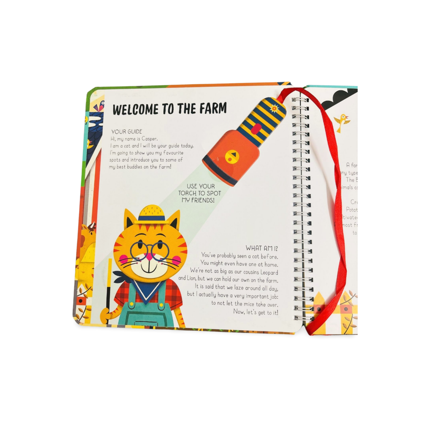 Spotlight Discovery- Farm Torch Book