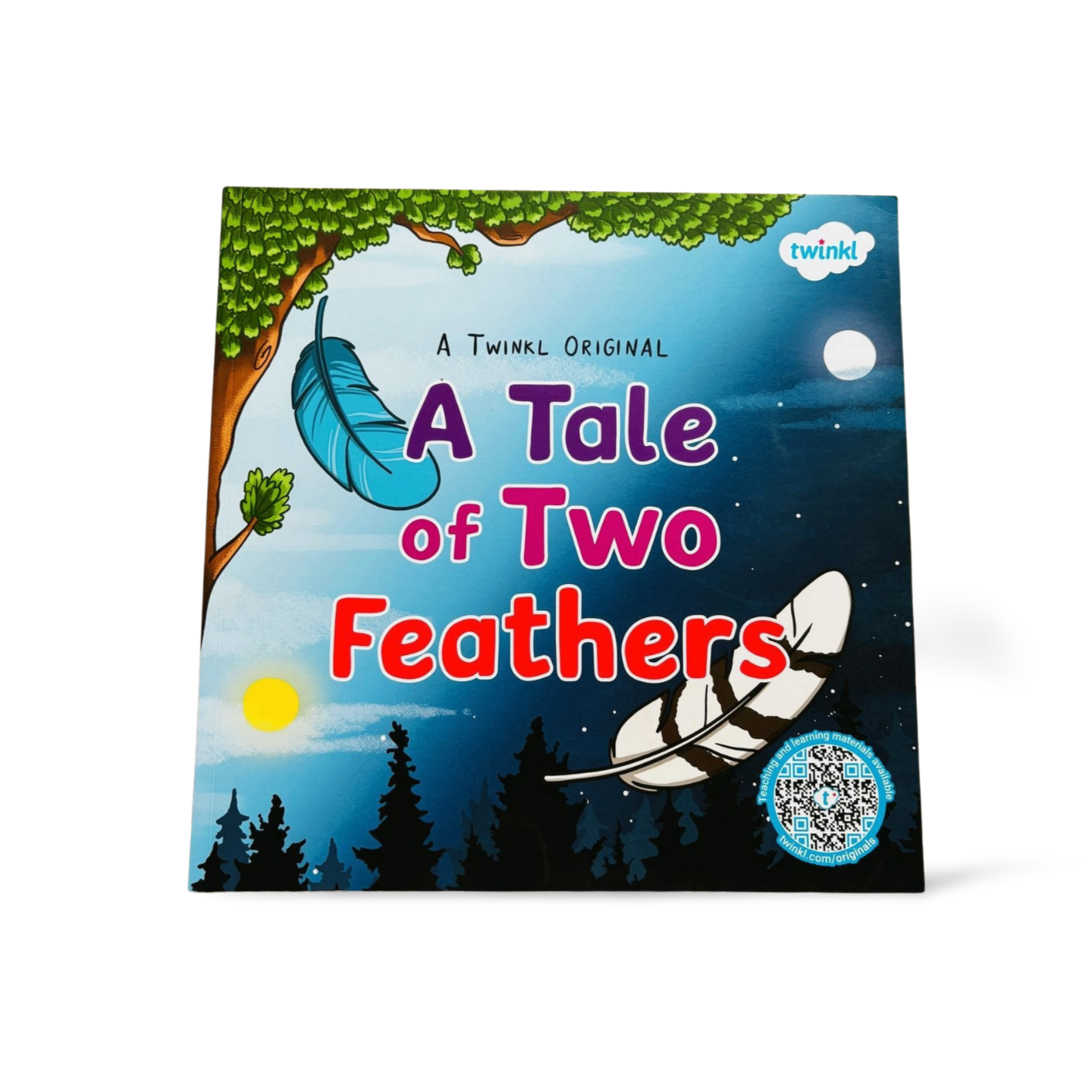 Twinkl Original A Tale of Two Feathers