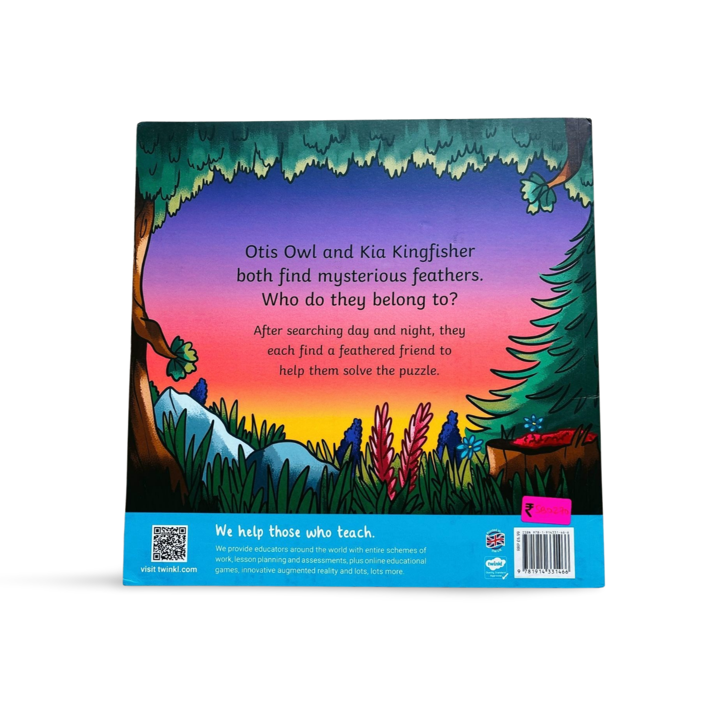 Twinkl Original A Tale of Two Feathers