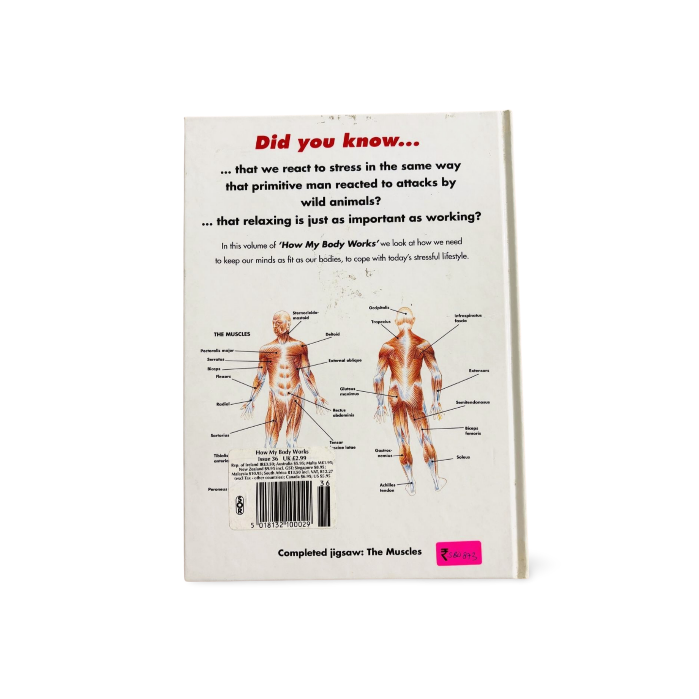 How my Body Works: A Healthy Mind