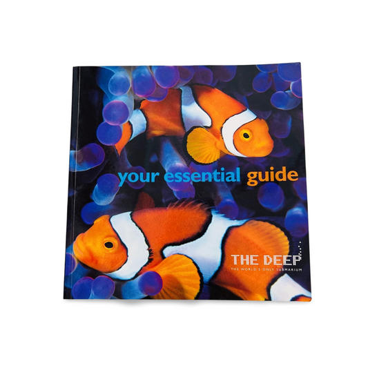 Your Essential Guide: The Deep The world's only Submarium