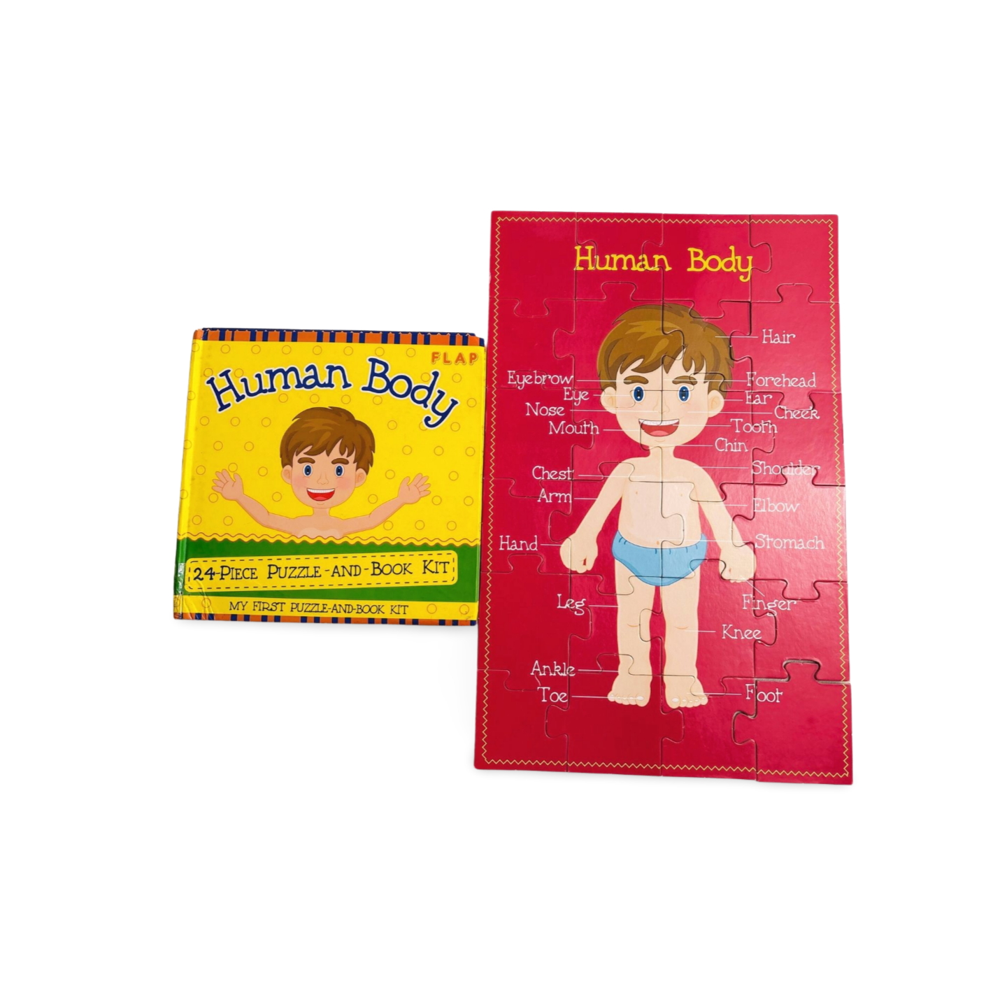 Human Body : My First Puzzle and Book Kit