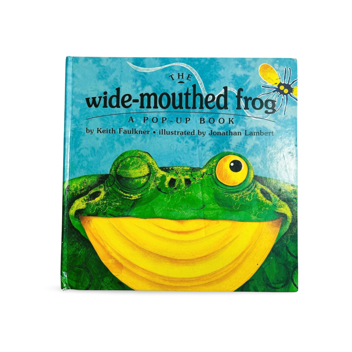 The Wide-Mouthed Frog: A pop-up book