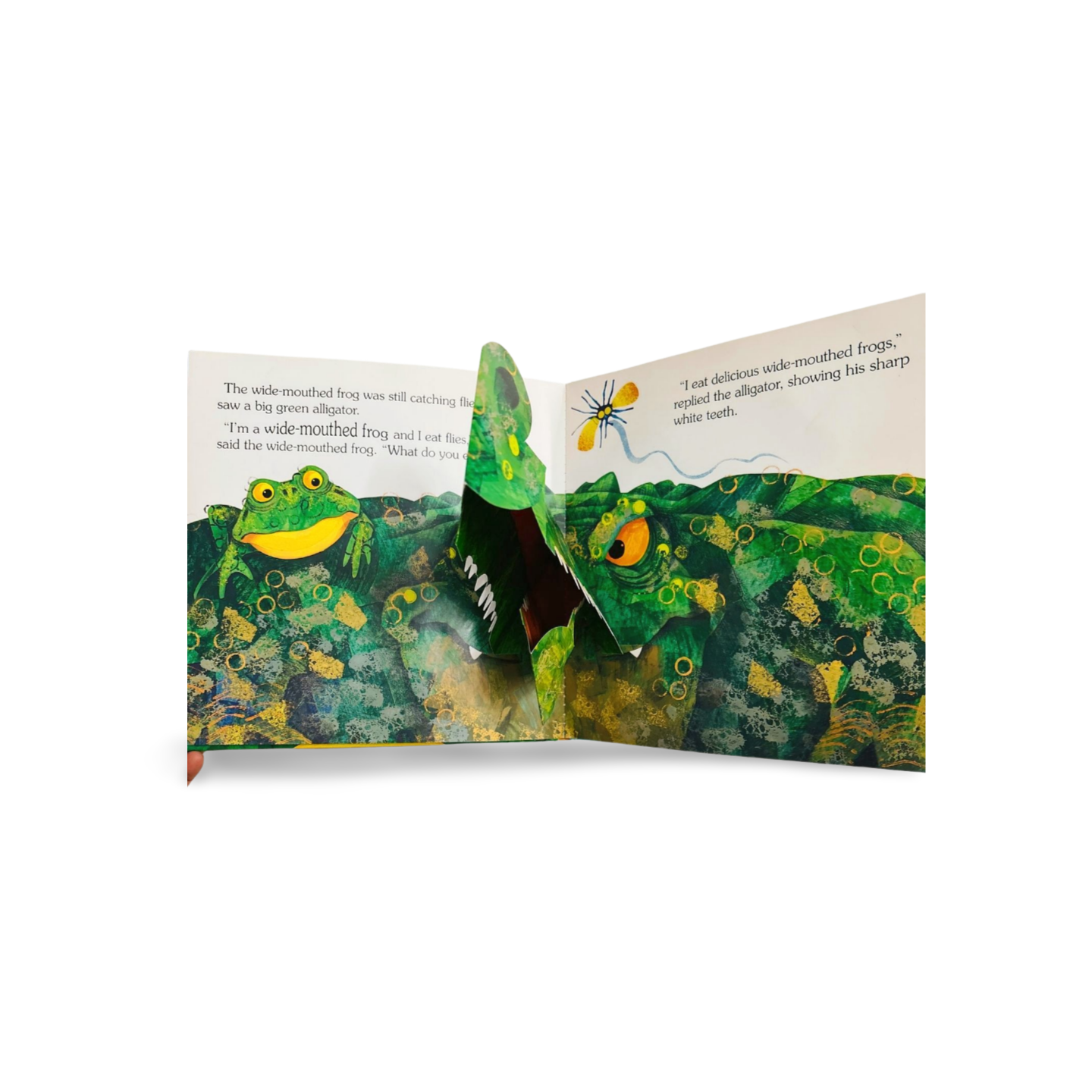 The Wide-Mouthed Frog: A pop-up book