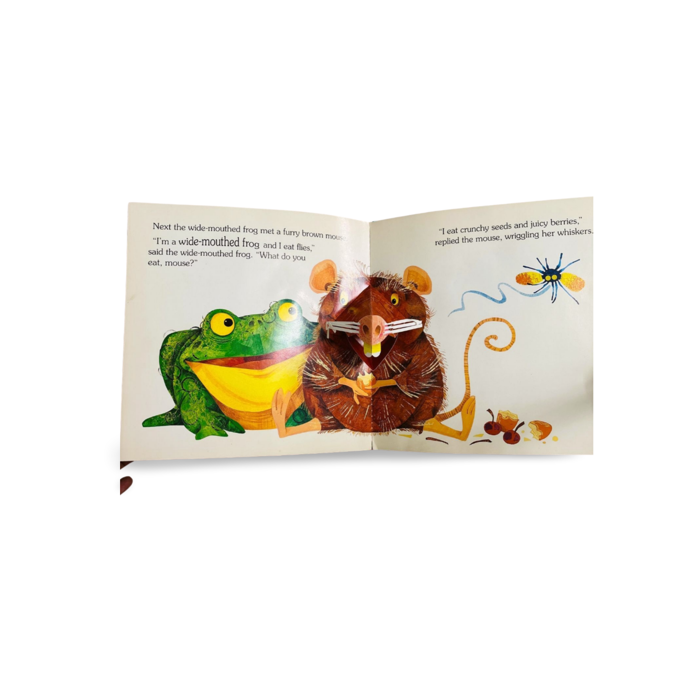 The Wide-Mouthed Frog: A pop-up book