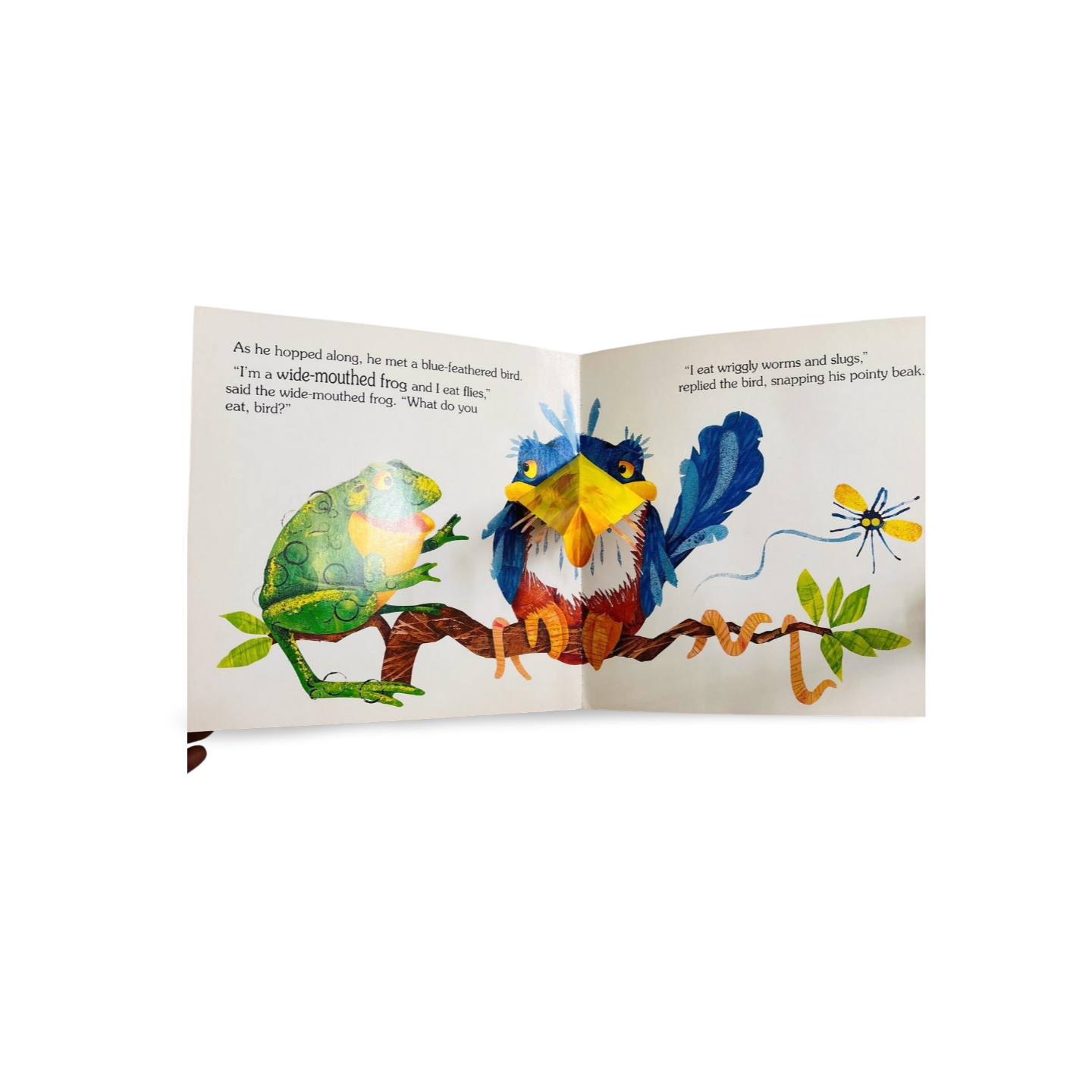The Wide-Mouthed Frog: A pop-up book