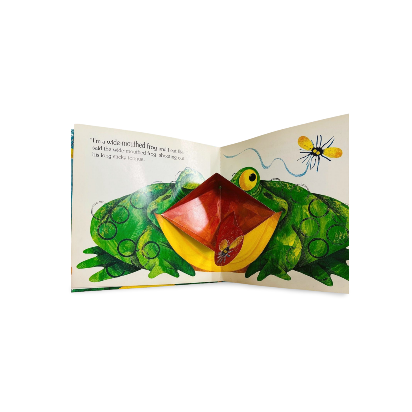 The Wide-Mouthed Frog: A pop-up book