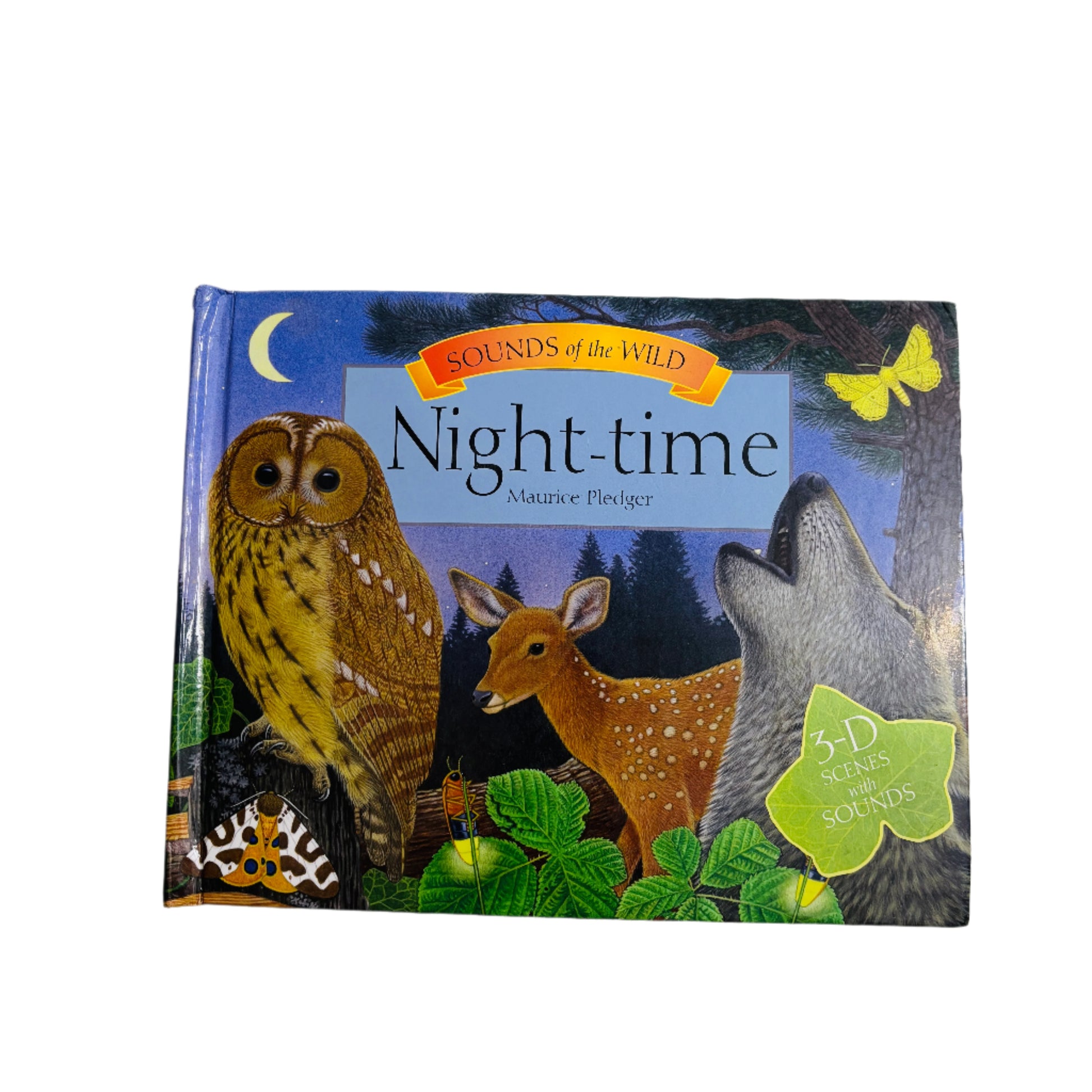 Sounds_of_the_Wild_Night_Time.v1