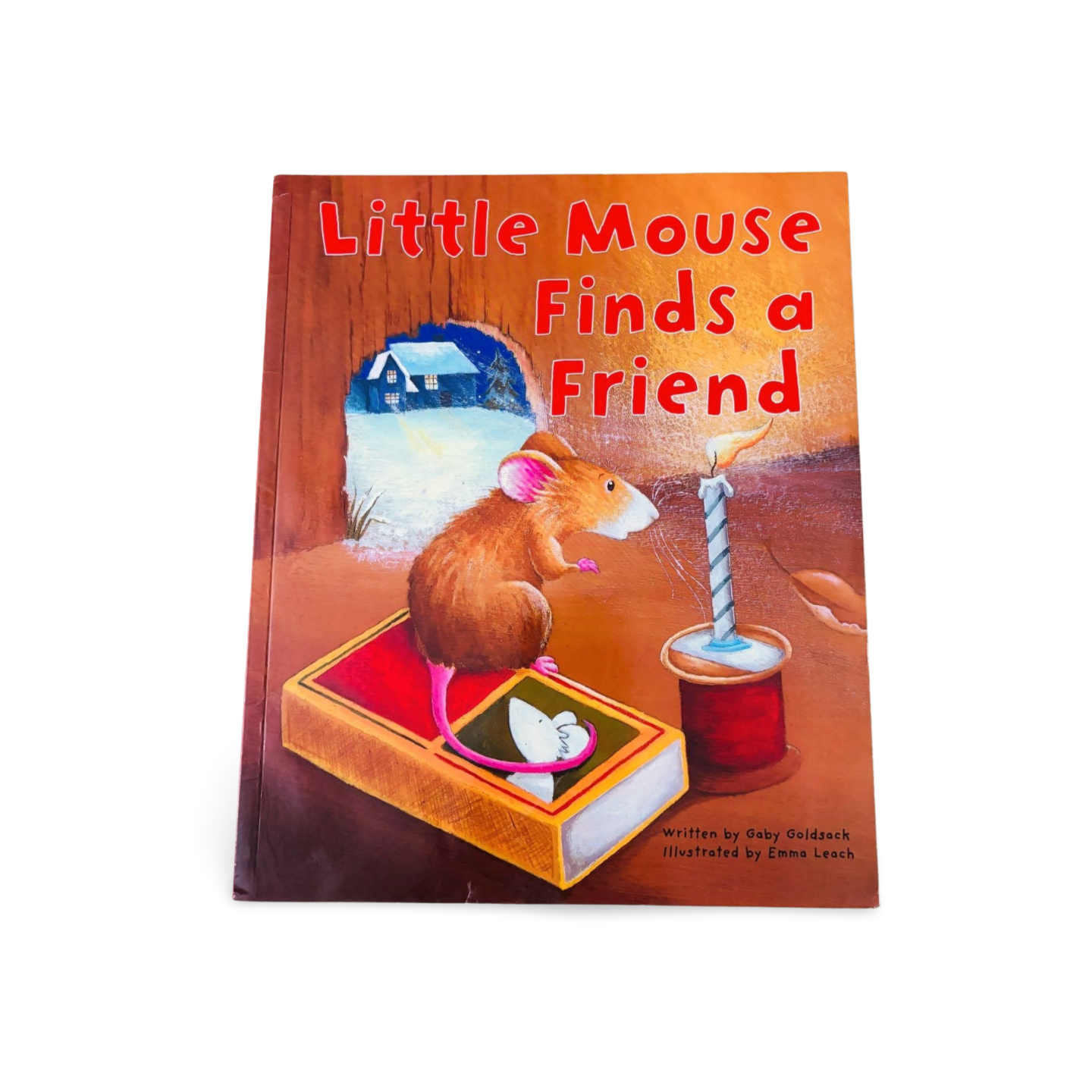 Little Mouse Finds a Friend
