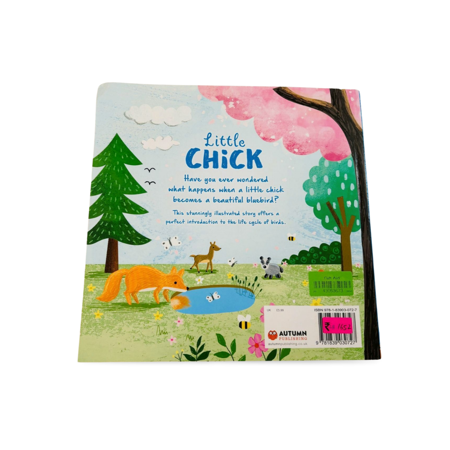 Little Chick- Autumn Publishing