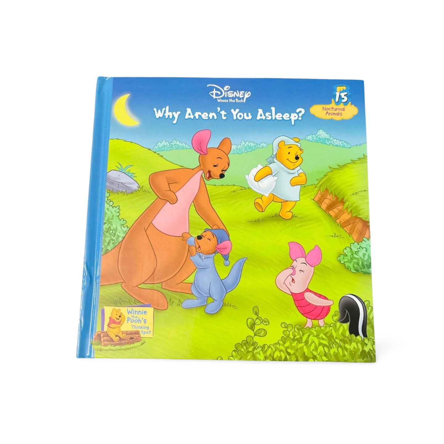 Disney Winnie the Pooh- Why aren’t you asleep? 15 Nocturnal animals