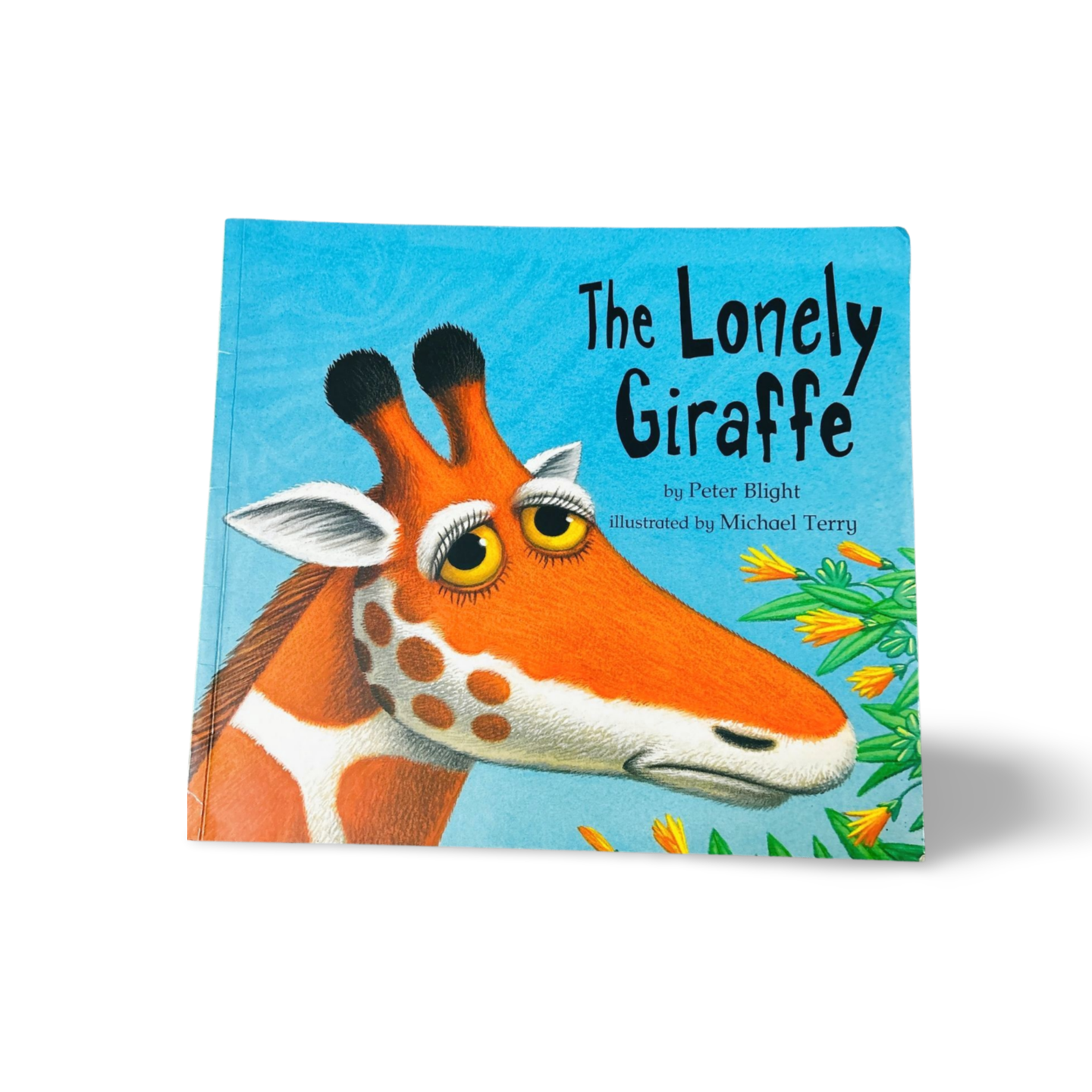 The Lonely Giraffe