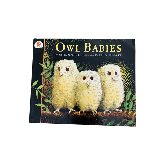 Owl Babies